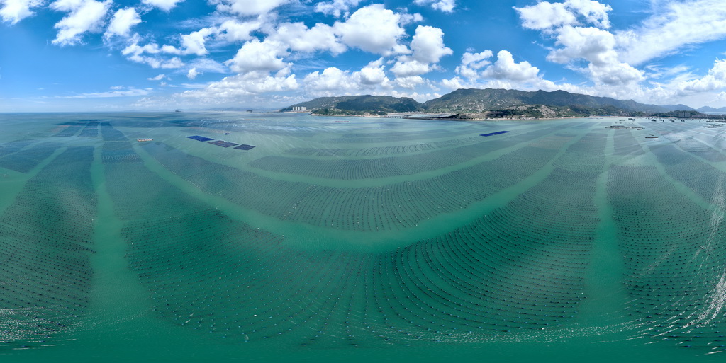 这是连江县黄岐半岛海域海投国家级海洋牧场全景图（7月3日摄，无人机照片）。
