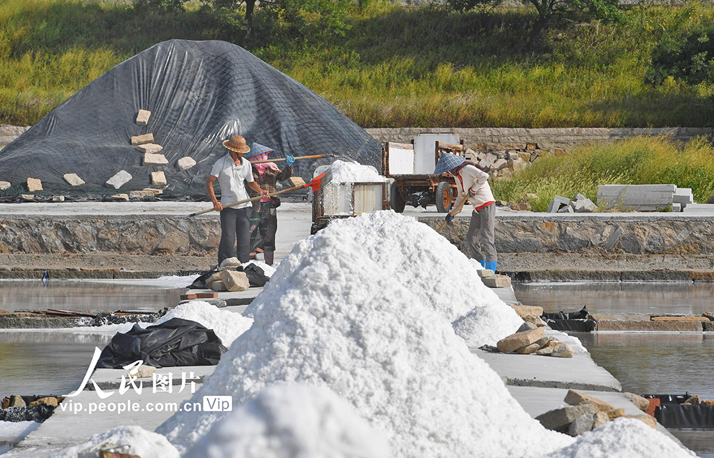 福建泉州：盐场作业【2】