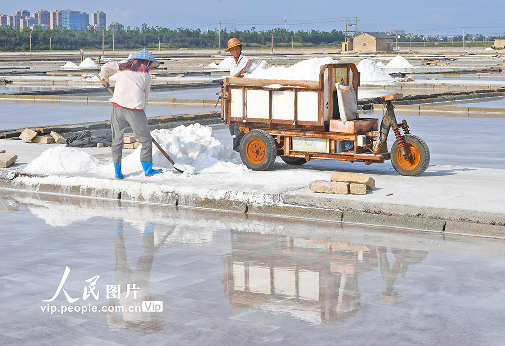 福建泉州:盐场作业【3】