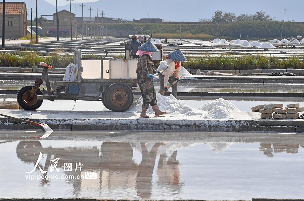 福建泉州：盐场作业【4】