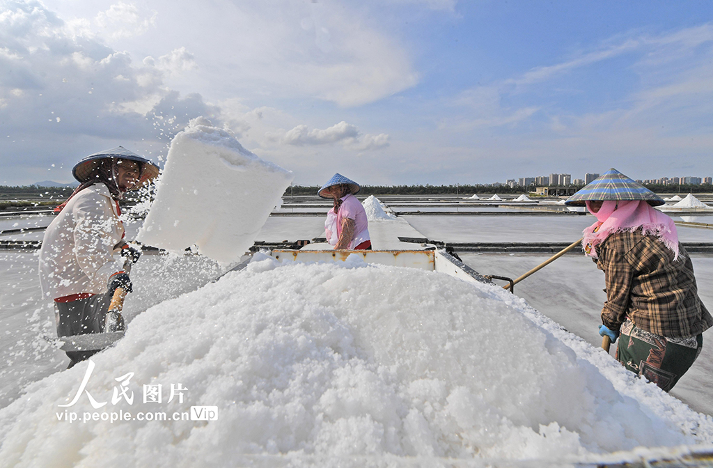 福建泉州：盐场作业【5】