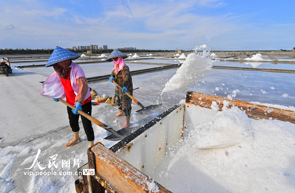 福建泉州：盐场作业【6】