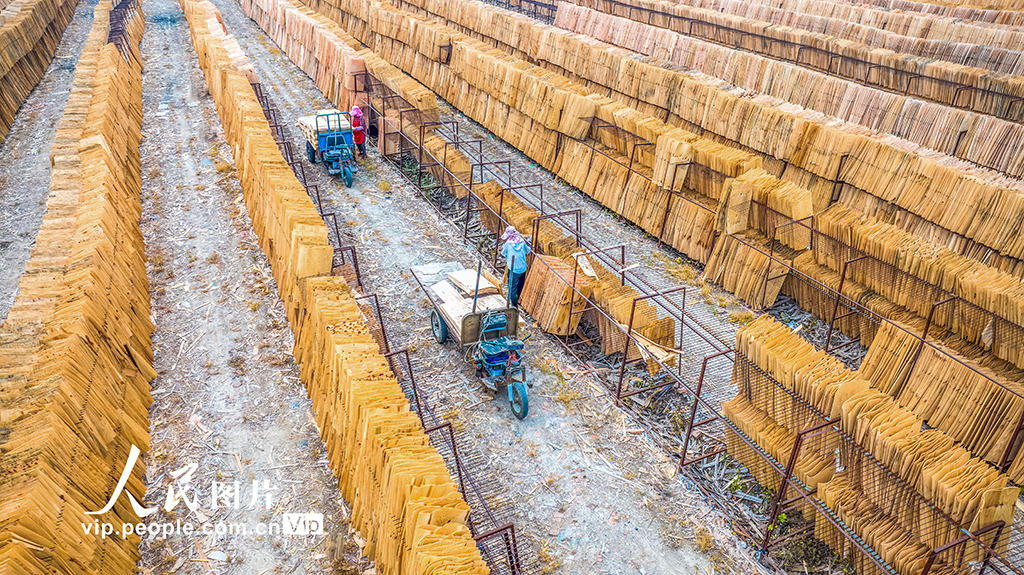 江苏沭阳：晾晒板材【2】