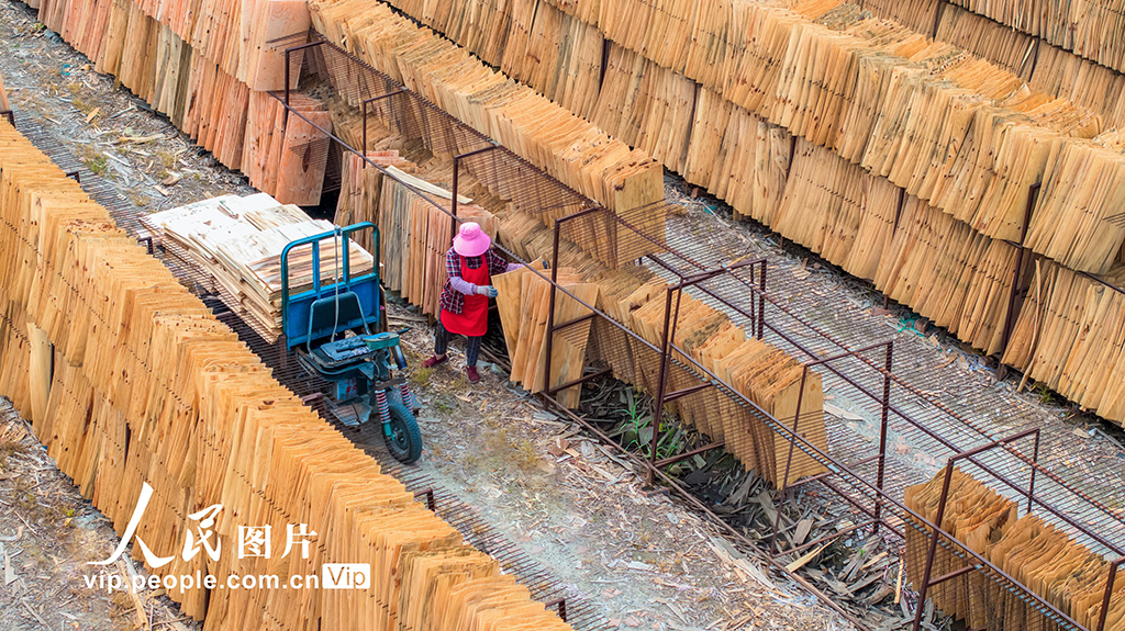 江苏沭阳：晾晒板材【4】