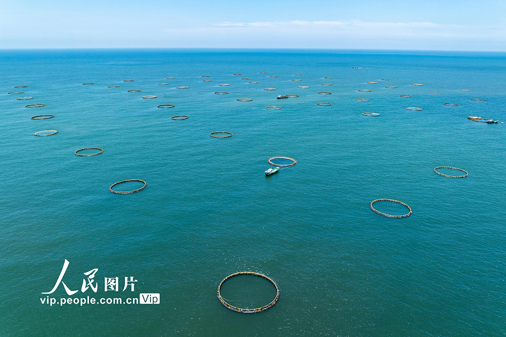 广东茂名：大力发展海上养殖业【3】
