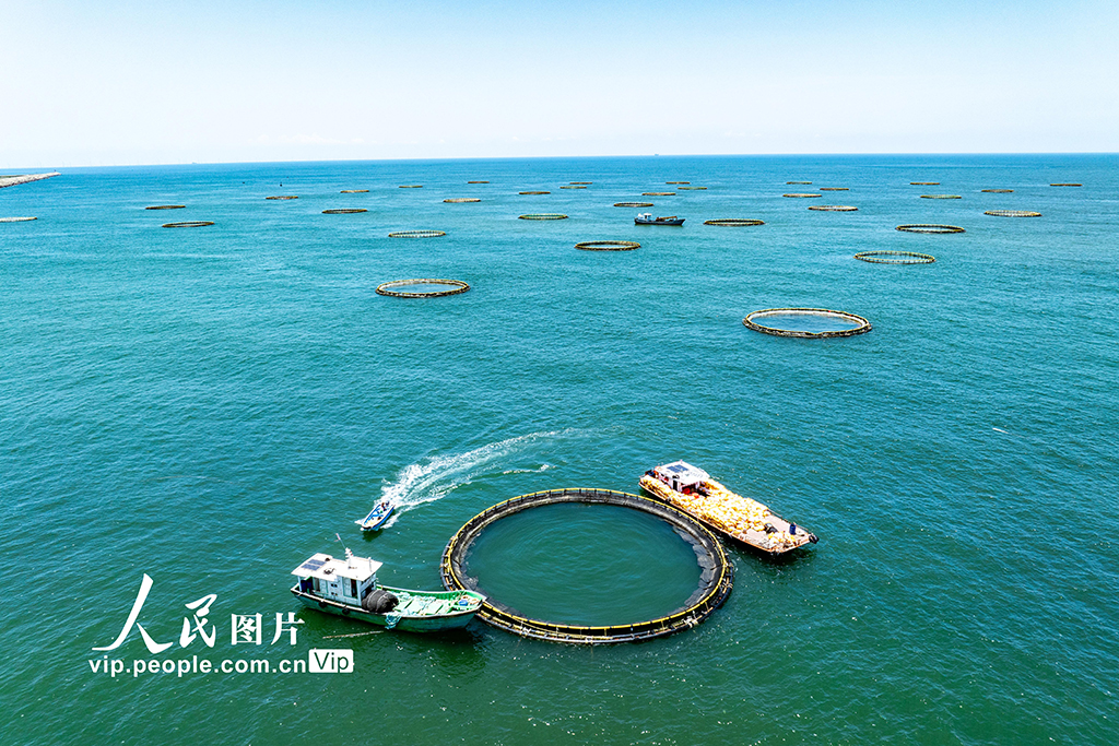 广东茂名：大力发展海上养殖业【2】