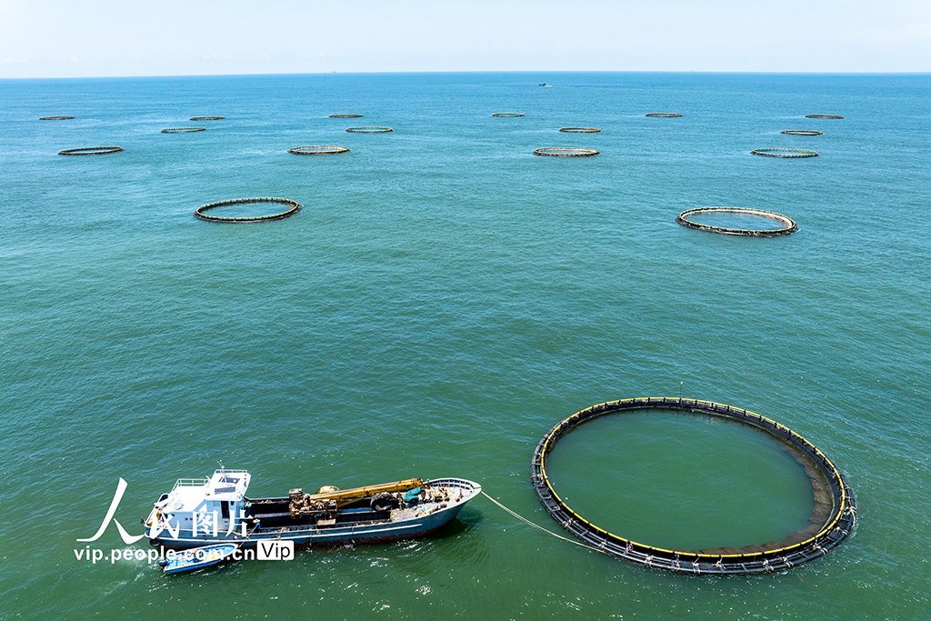 广东茂名：大力发展海上养殖业【4】