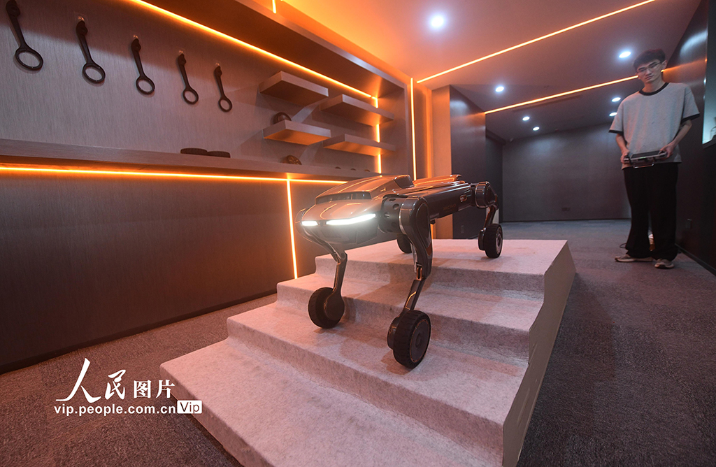 浙江杭州：国内首家“具身智能4S店”亮相【2】