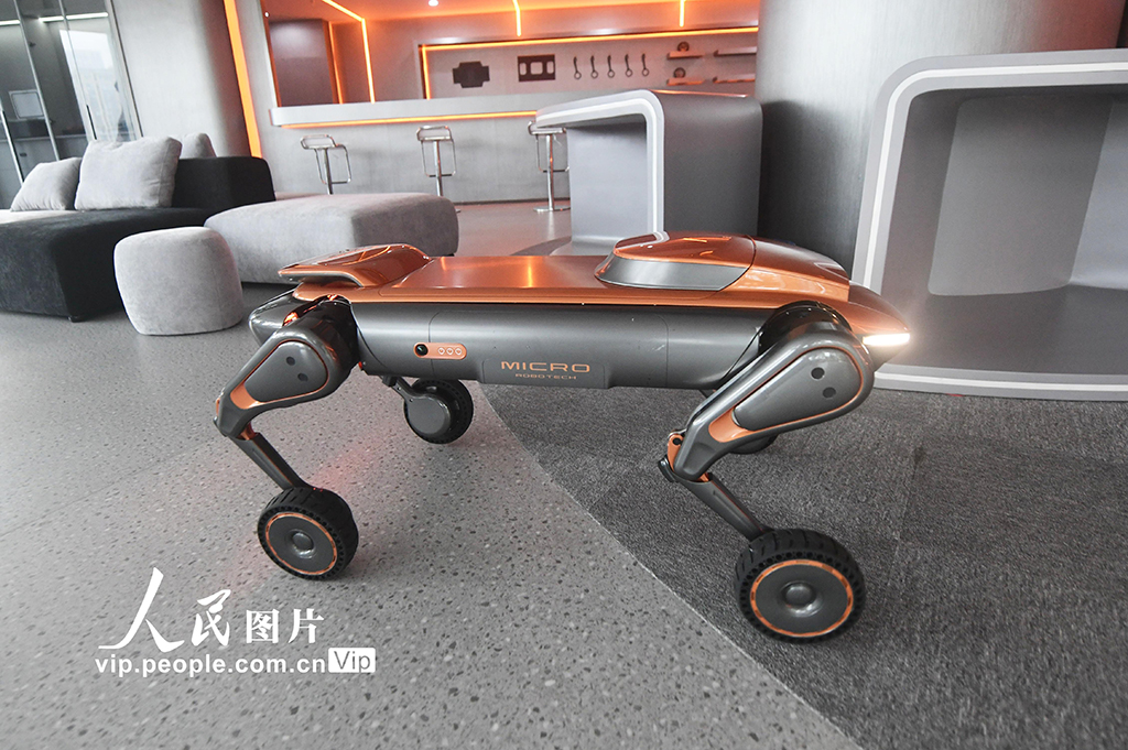 浙江杭州：国内首家“具身智能4S店”亮相【5】