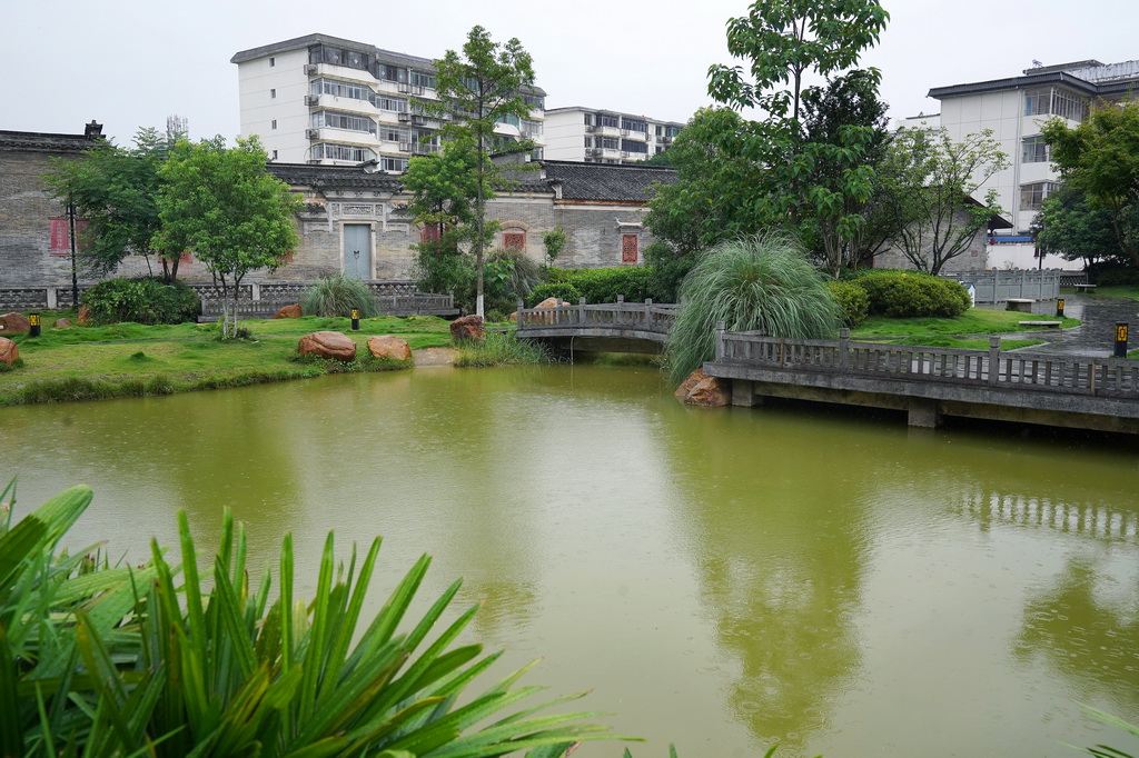 这是位于赣州古城的一处清水塘（6月18日摄）。