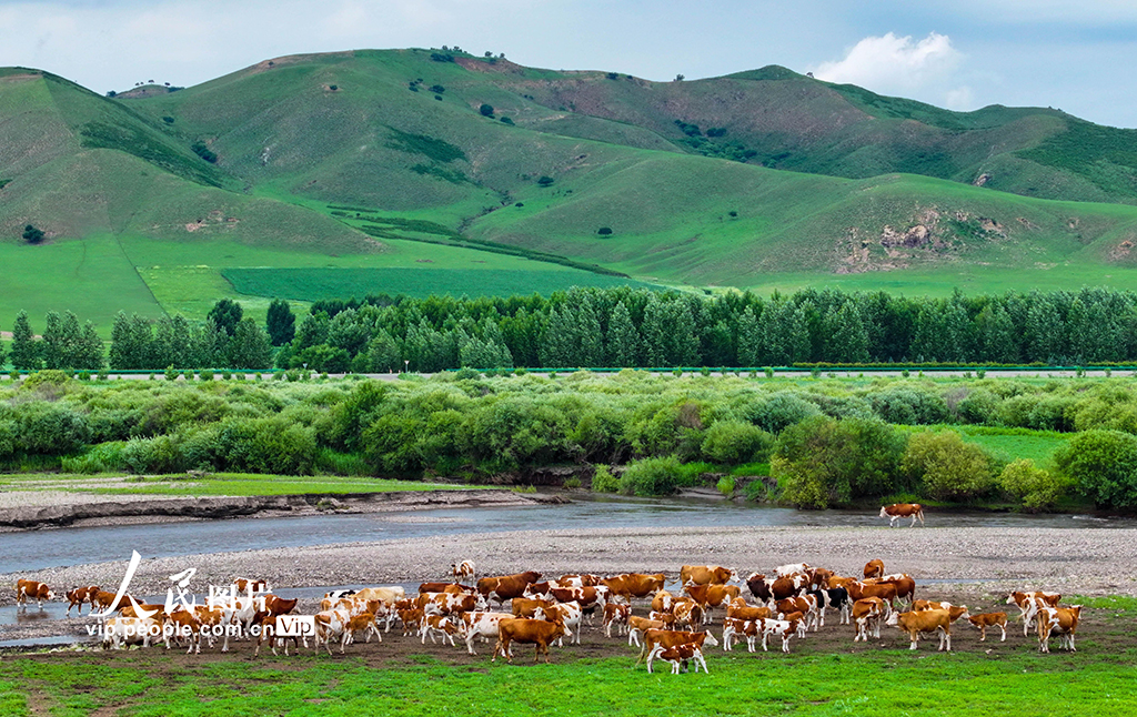 内蒙古兴安盟：乌兰毛都草原风景美【3】