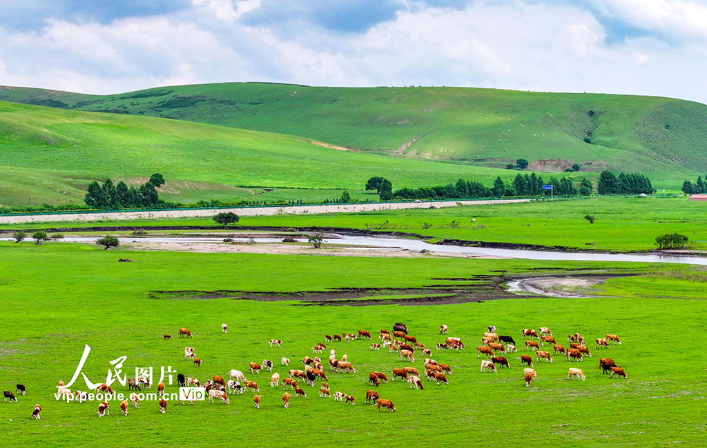 内蒙古兴安盟：乌兰毛都草原风景美【5】