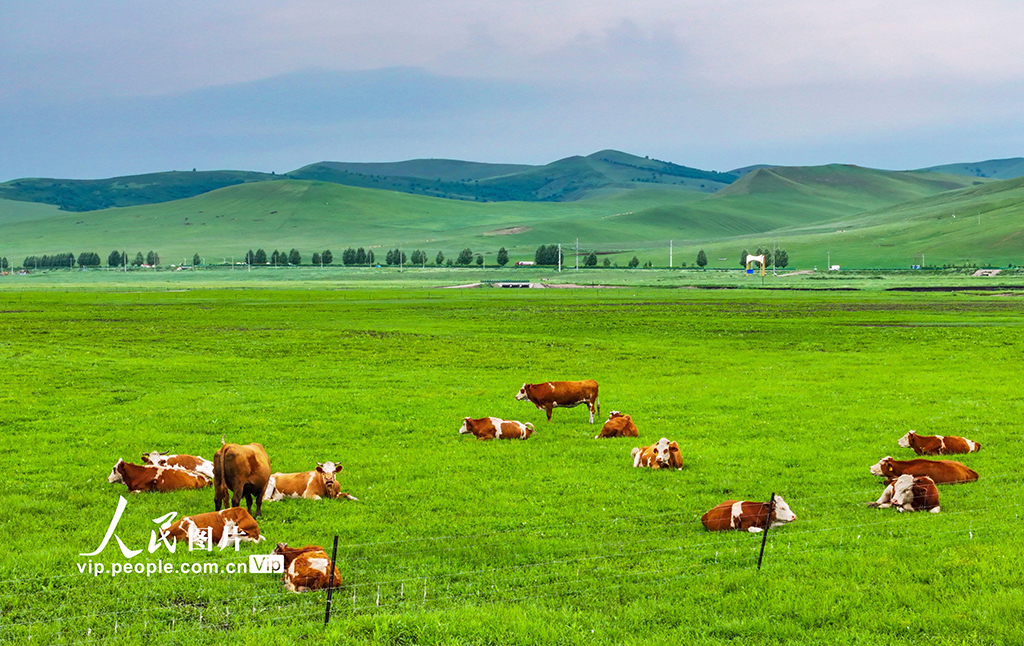 内蒙古兴安盟：乌兰毛都草原风景美【8】