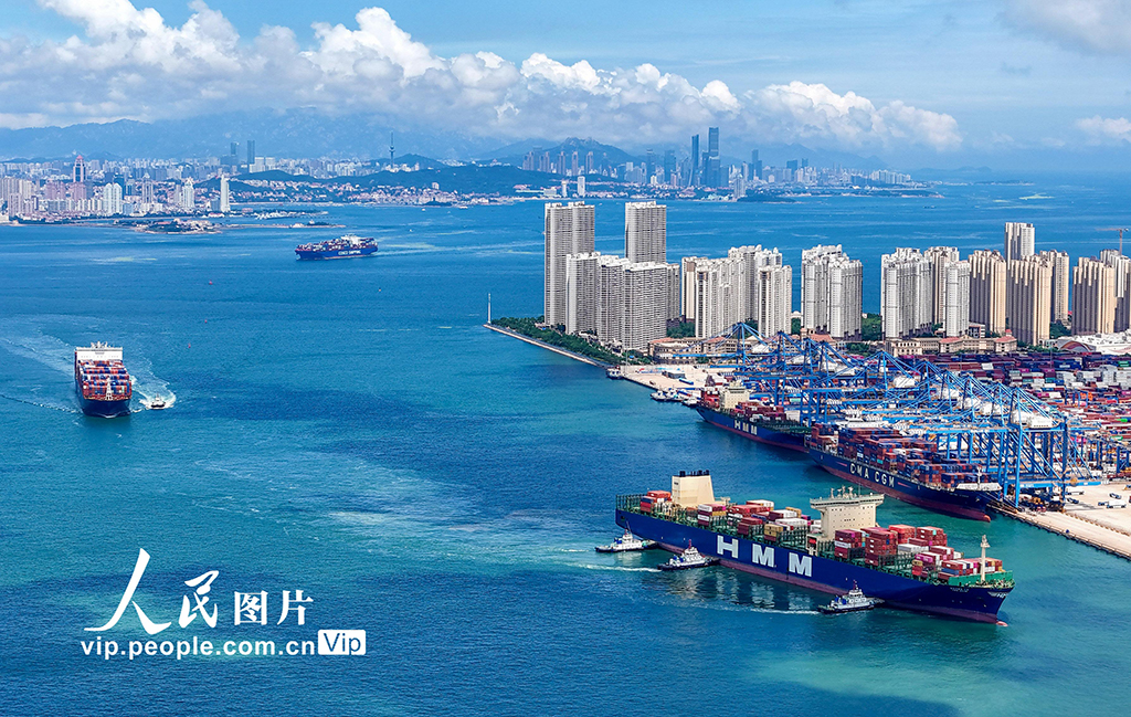 山东港口青岛港2025年上半年新增航线11条【3】