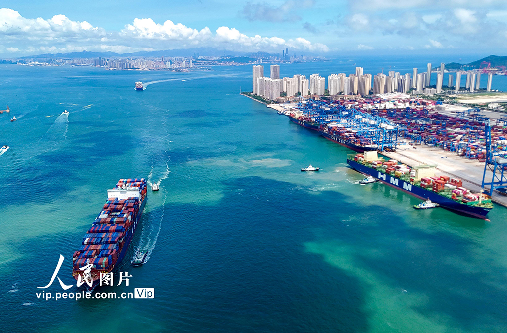 山东港口青岛港2025年上半年新增航线11条【4】