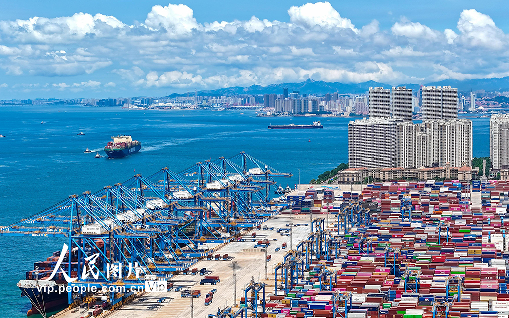 山东港口青岛港2025年上半年新增航线11条【6】