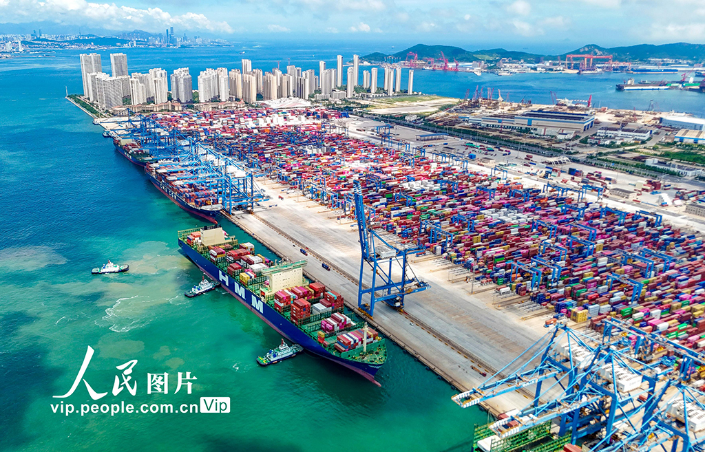 山东港口青岛港2025年上半年新增航线11条【2】