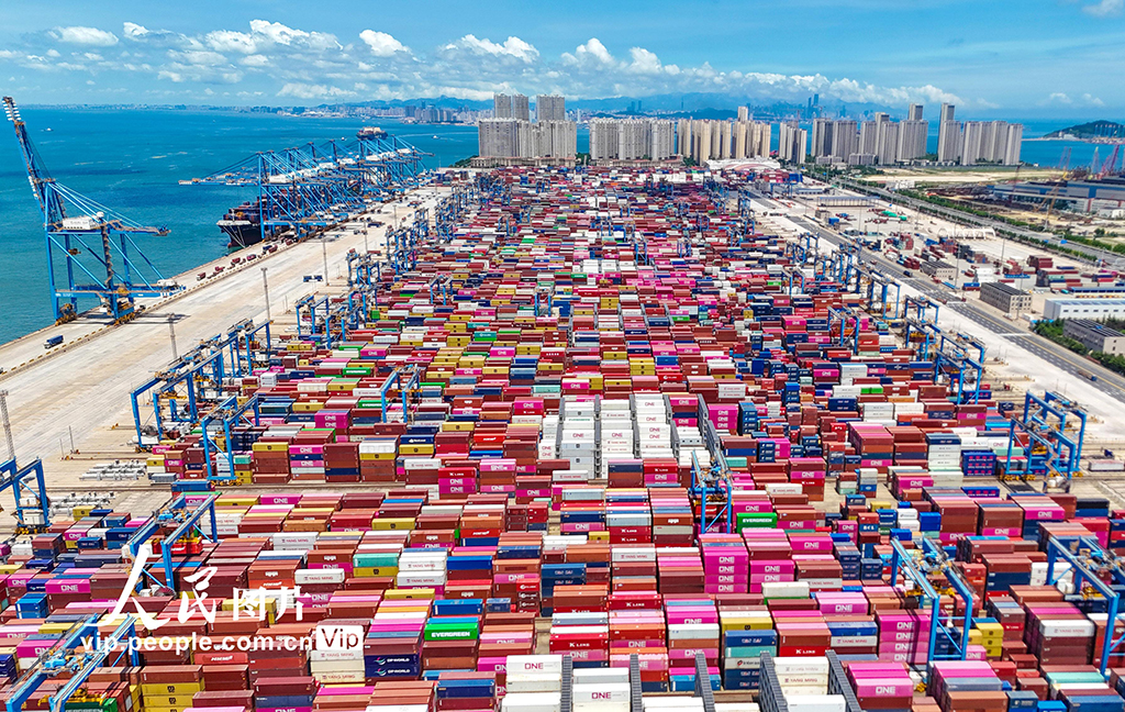 山东港口青岛港2025年上半年新增航线11条【11】