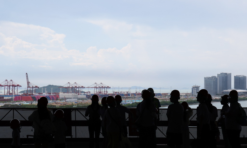 7月8日，“小候鸟”家庭在前海博物馆项目建设现场眺望前海湾。