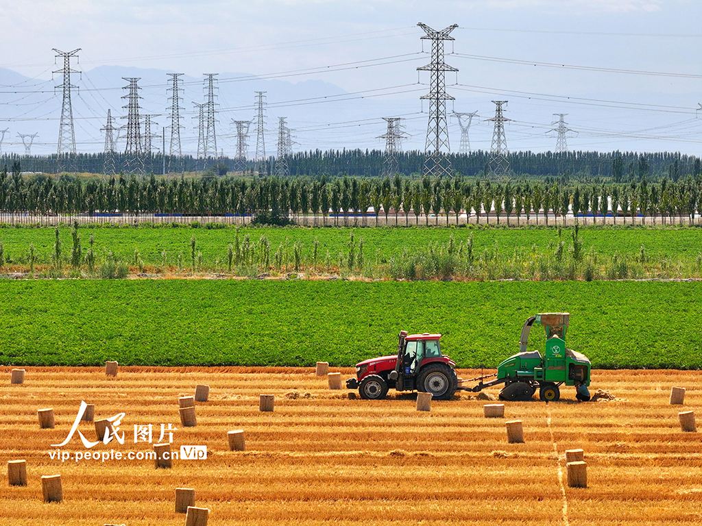 麦秸回收 环保增收【2】