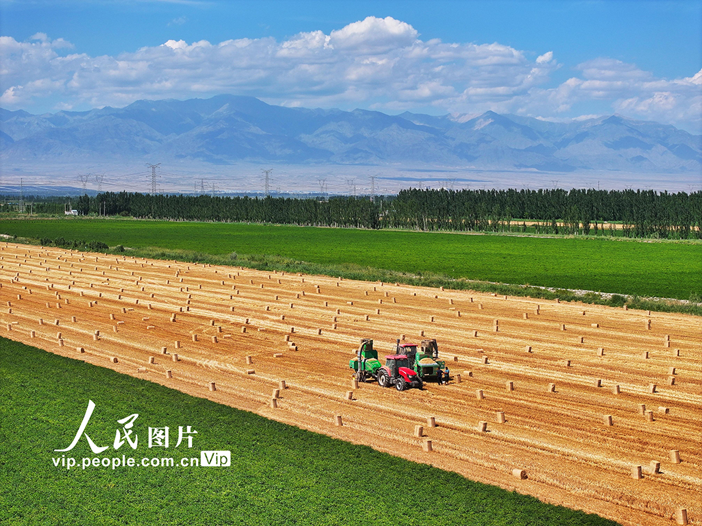 麦秸回收 环保增收【3】