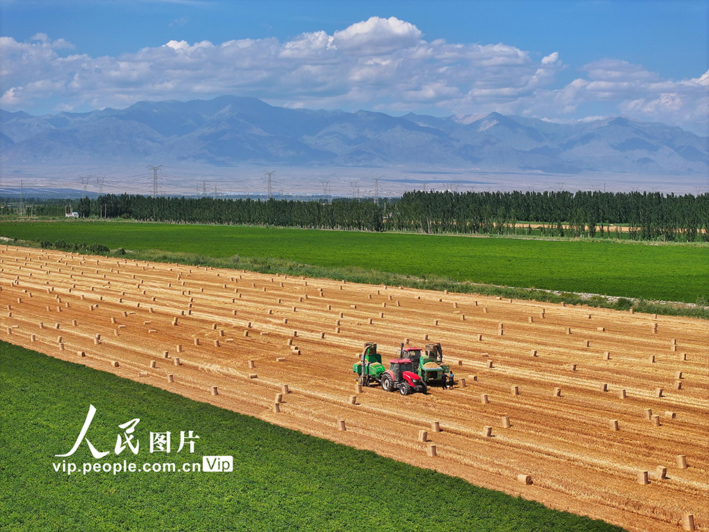 麦秸回收 环保增收【6】