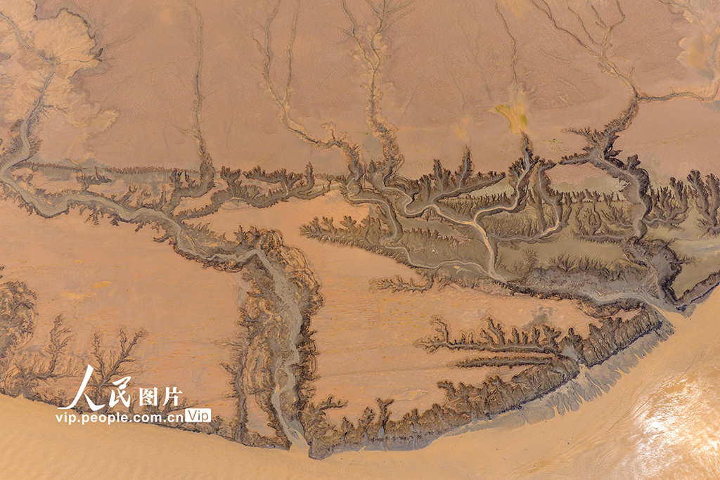 河南济源：黄河小浪底库区河床现美丽“沙画”长卷【2】