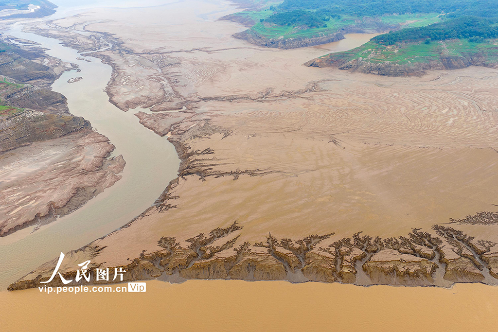 河南济源：黄河小浪底库区河床现美丽“沙画”长卷【3】