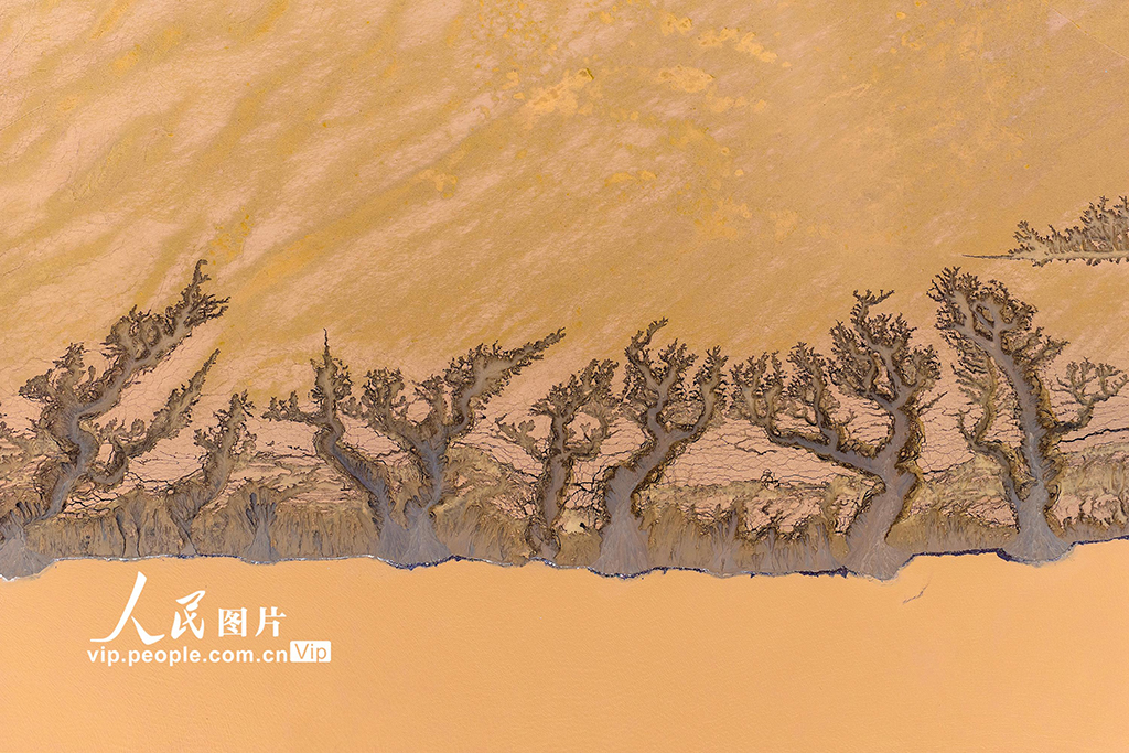 河南济源：黄河小浪底库区河床现美丽“沙画”长卷【4】