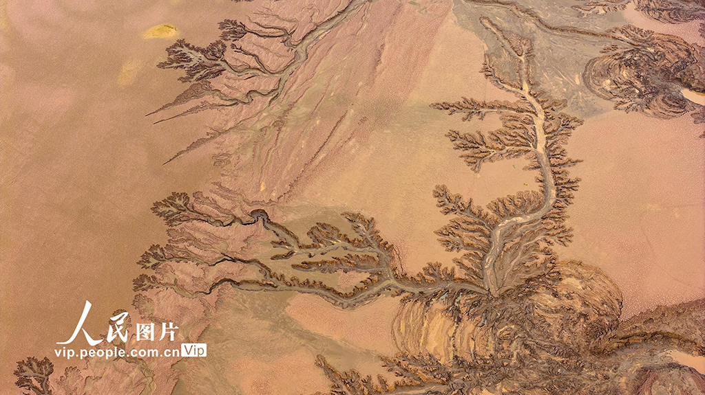 河南济源：黄河小浪底库区河床现美丽“沙画”长卷【5】