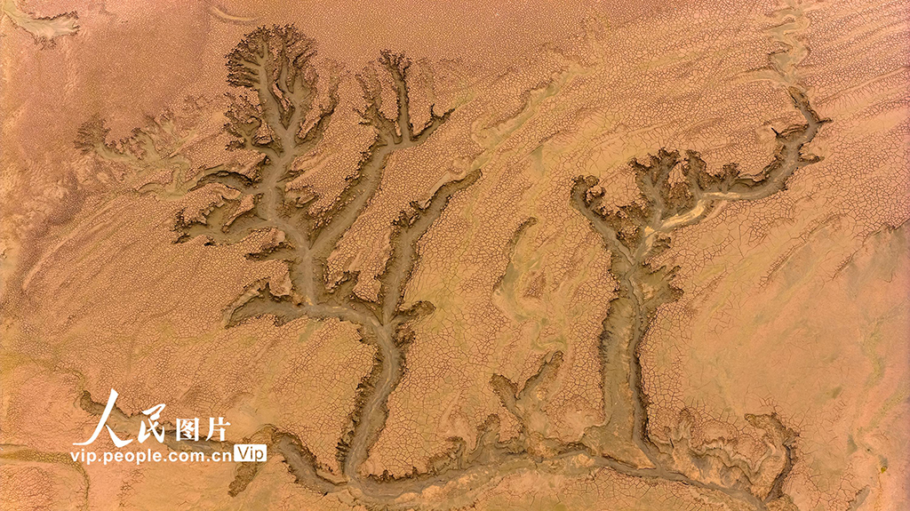 河南济源：黄河小浪底库区河床现美丽“沙画”长卷【6】