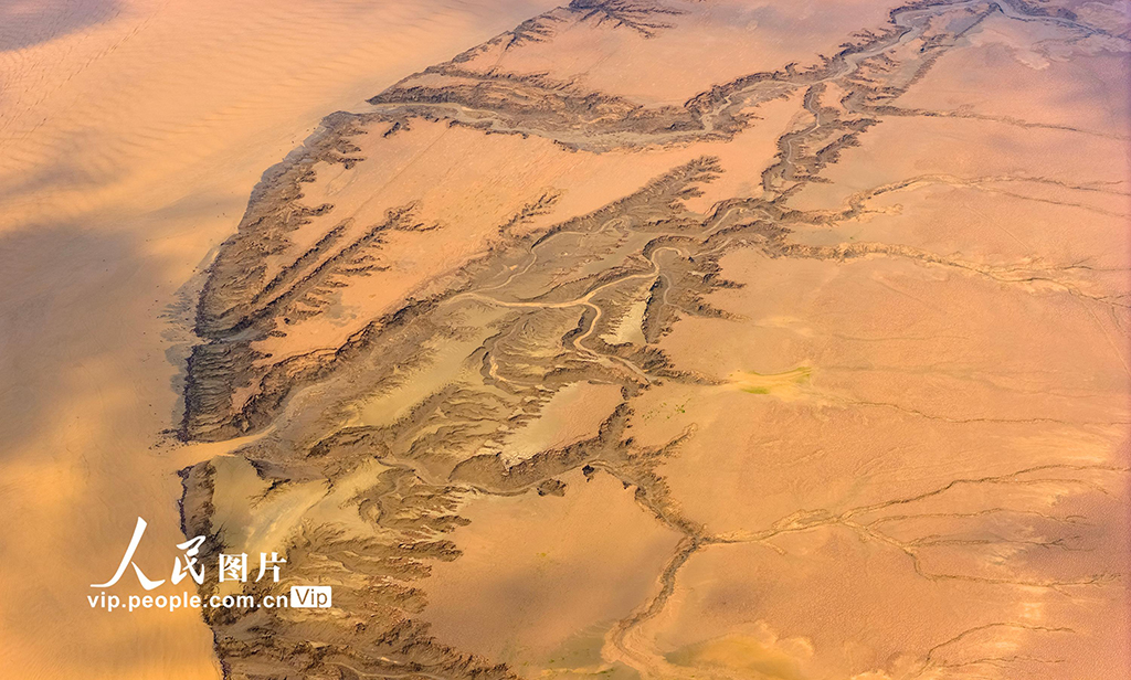 河南济源：黄河小浪底库区河床现美丽“沙画”长卷【7】