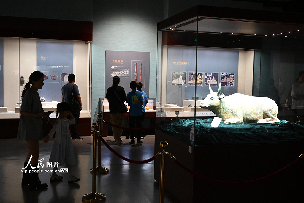 宁夏银川：博物馆迎来参观热【2】