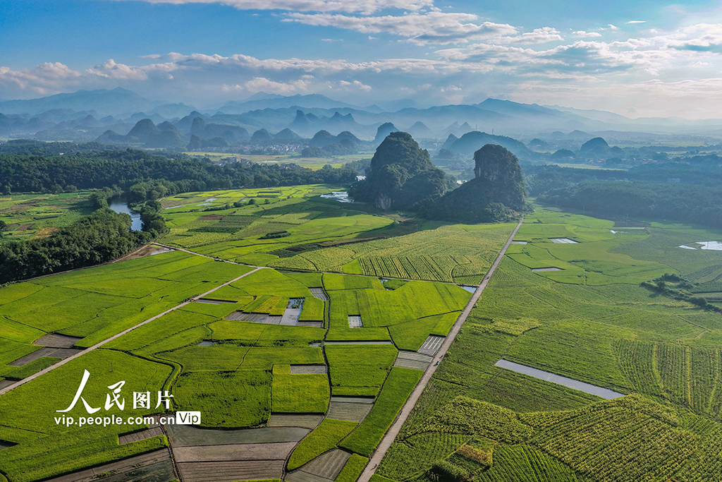湖南道县：田园画卷【2】