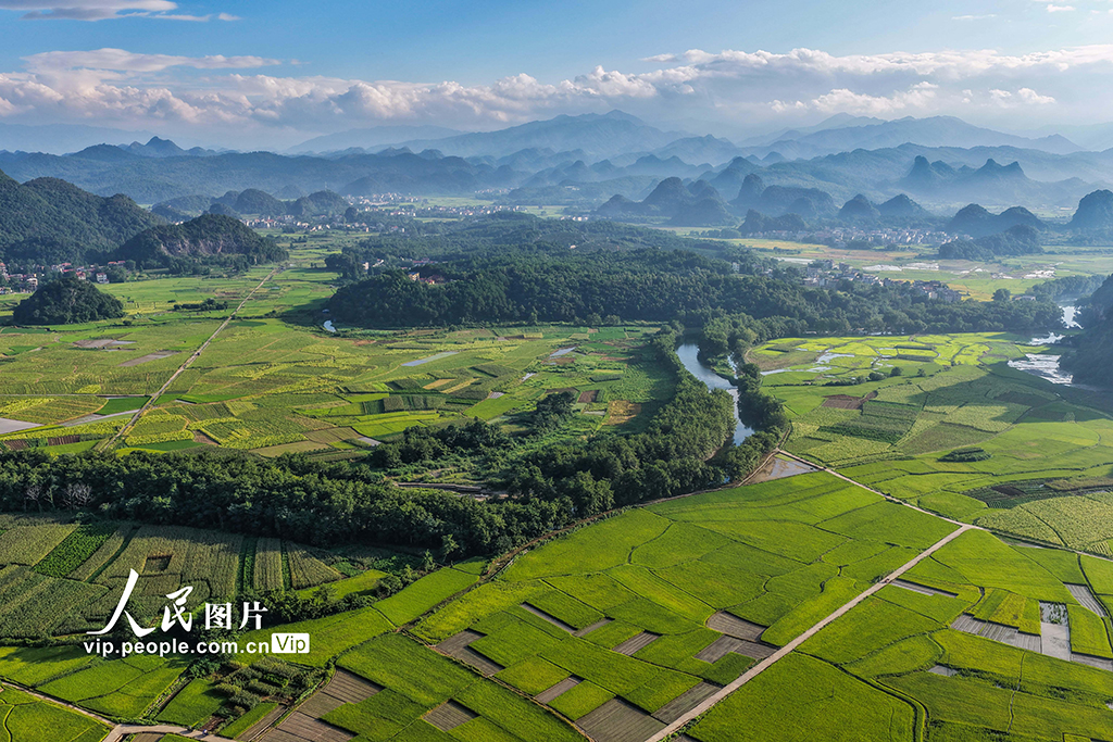 湖南道县：田园画卷【3】
