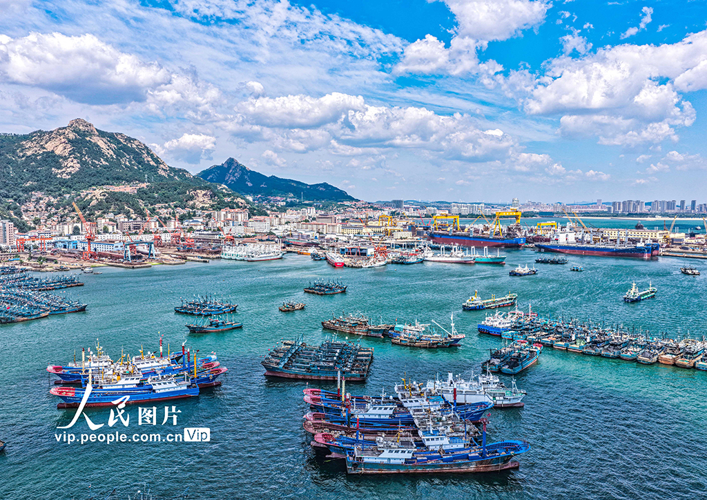 山东荣成：修造船产业助推海洋经济高质量发展【6】