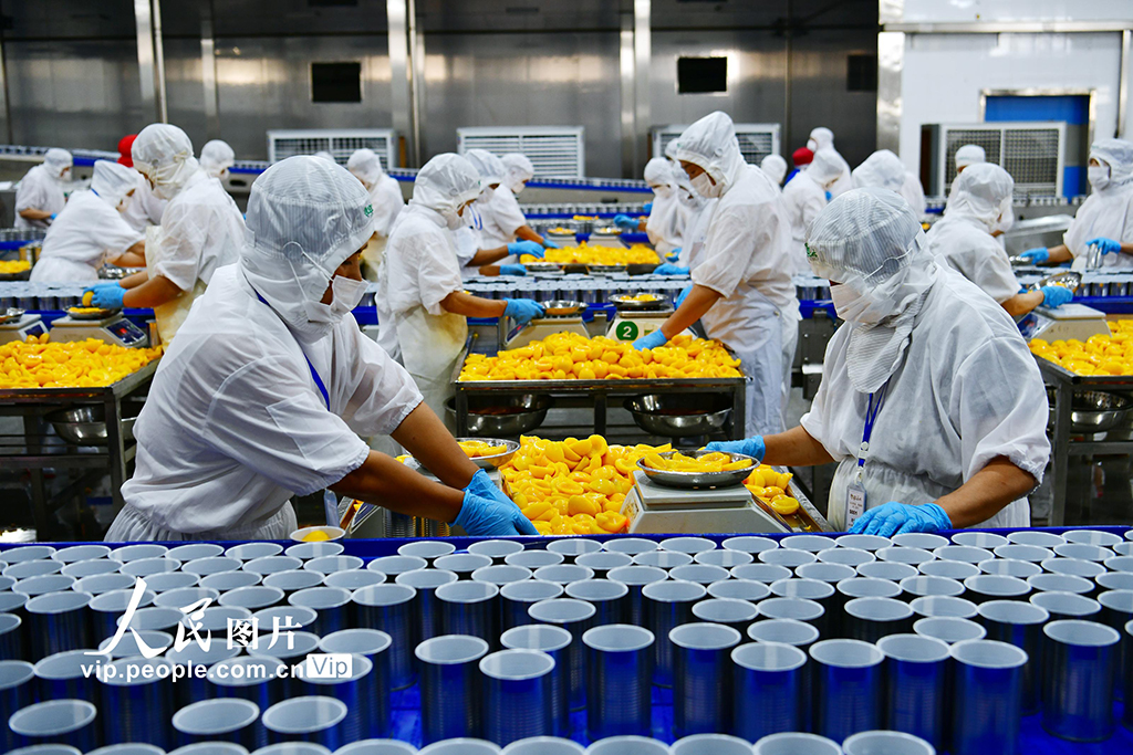 湖北秭归：黄桃深加工助农增收【2】