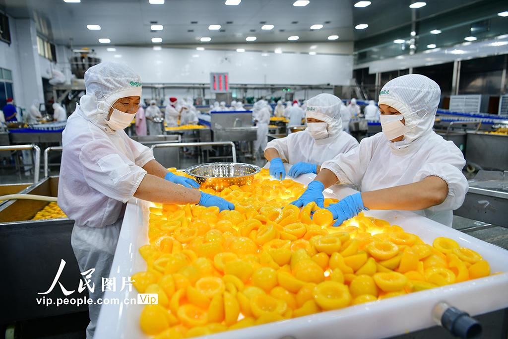 湖北秭归：黄桃深加工助农增收【3】