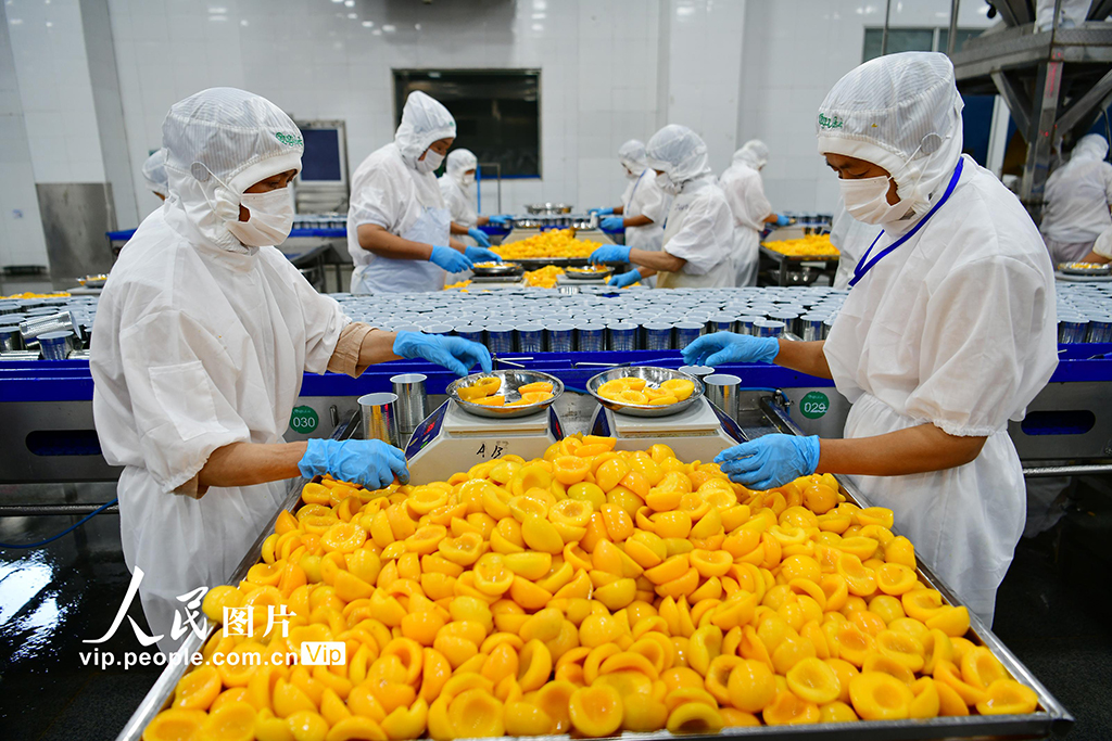 湖北秭归：黄桃深加工助农增收【4】