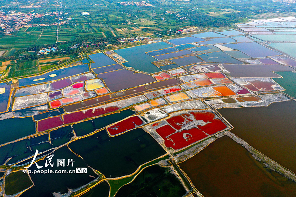 山西运城：夏日盐湖色彩斑斓【2】