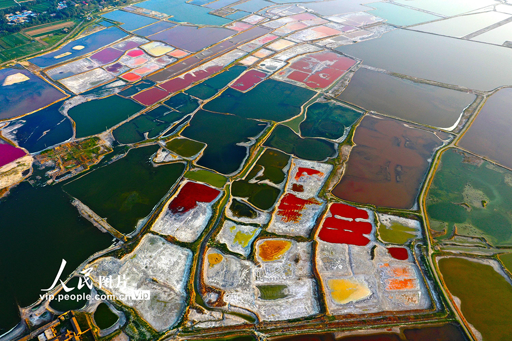 山西运城：夏日盐湖色彩斑斓【3】
