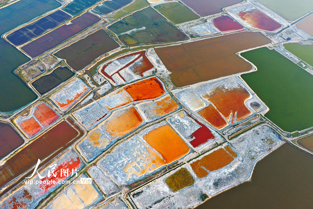山西运城：夏日盐湖色彩斑斓【4】