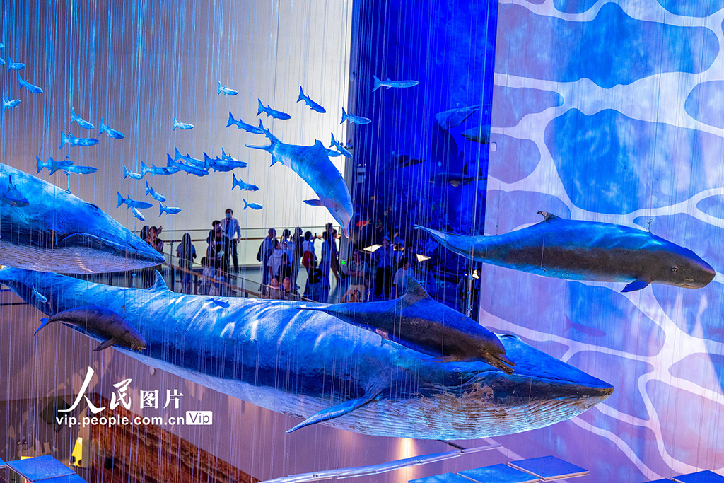 广东广州：暑假乐游博物馆【3】