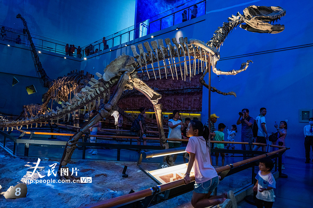 广东广州：暑假乐游博物馆【2】