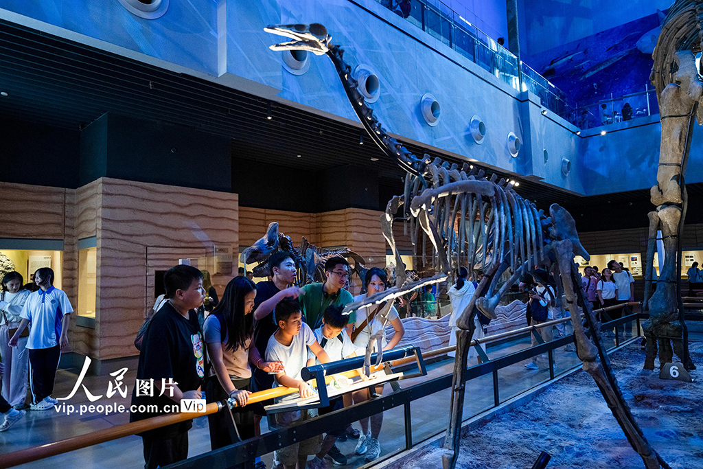 广东广州：暑假乐游博物馆【4】