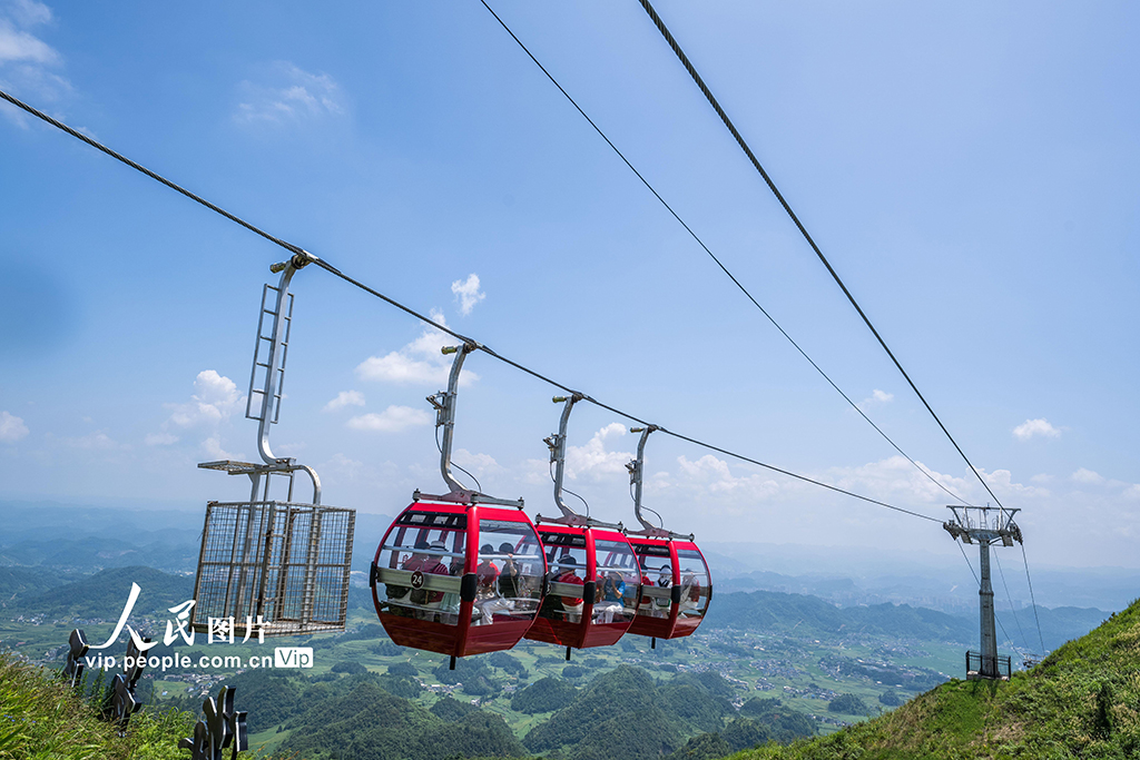 贵州金沙：紫色花海醉游人【3】