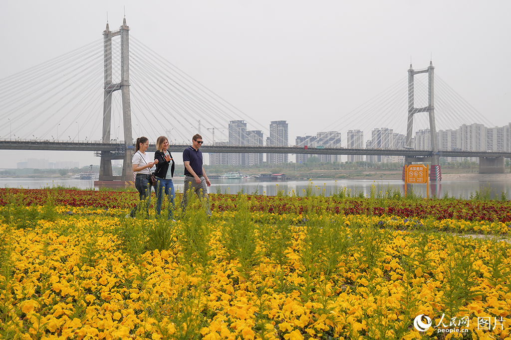 2025年4月14日，外国游客打卡安徽蚌埠“靓淮河”。人民网记者 陈若天摄