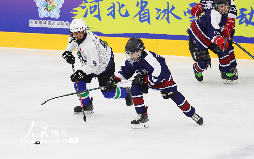 河北石家庄：冰球少年 驰骋冰场【3】