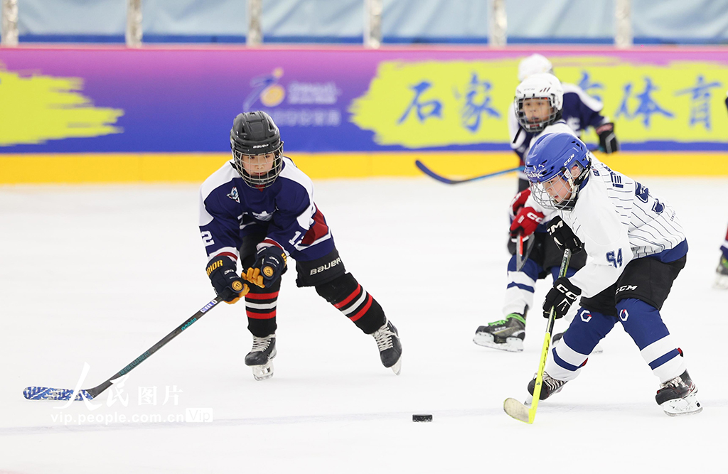 河北石家庄：冰球少年 驰骋冰场【4】