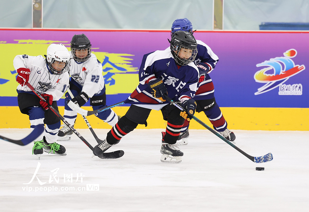 河北石家庄：冰球少年 驰骋冰场【5】